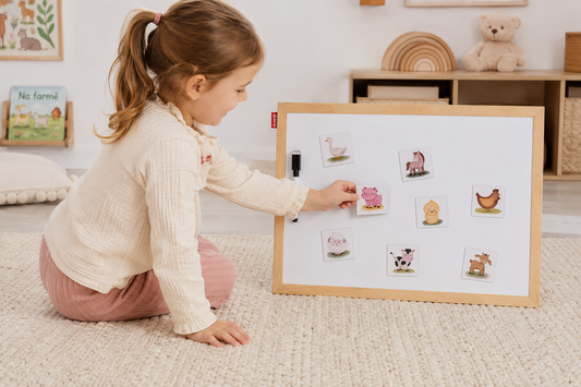Kompletní sada (8ks magnetů, magnetická tabule, activity list)